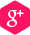 Google + icon